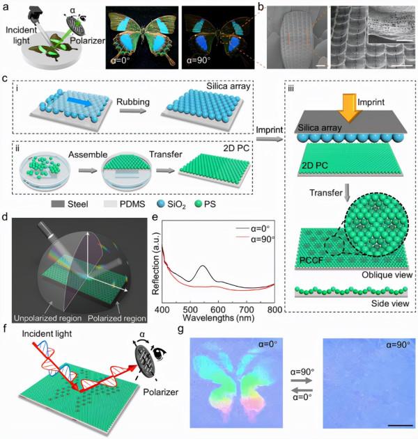 中科院最新科研進展、科技動態 2021.11.23 星期二