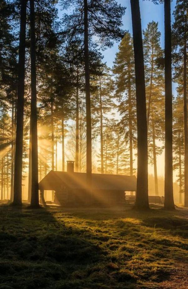 散文：人到中年，一種年齡，一種心境，一種領悟