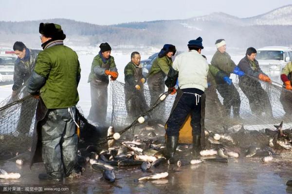 原來你是這樣的黑龍江