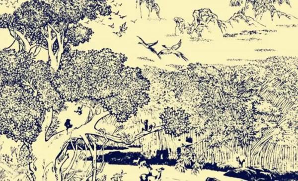 民間故事:女子放生臉盆大的甲魚,甲魚夜間託夢:明日不能出門 民間故事:女子放生臉盆大的甲魚,甲魚夜間託夢:明日不能出門