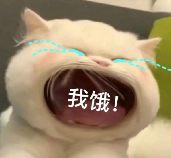 你知道你為什麼動不動就餓了嗎？