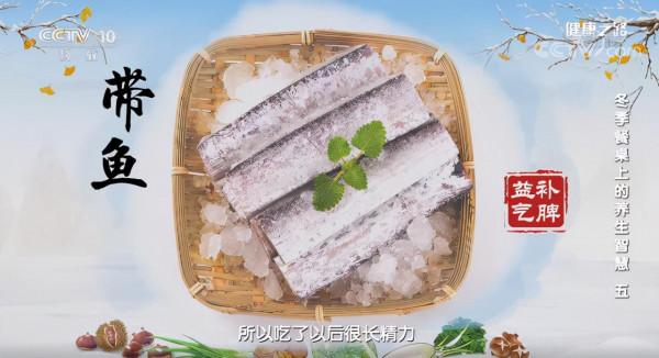 漲知識!帶魚身上銀白膜可食用、海參補陰陽、黃魚會變色 漲知識!帶魚身上銀白膜可食用、海參補陰陽、黃魚會變色