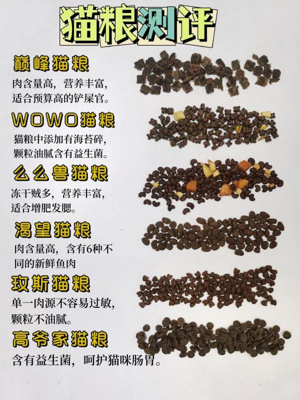 別再踩雷了，貓咪承受不了你折騰還不會選貓糧？
