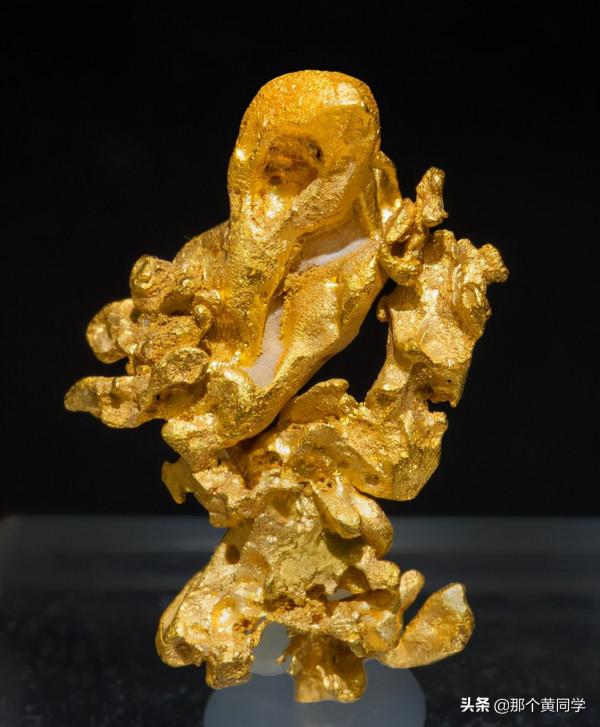 世界上最誘人的大疙瘩“狗頭金”