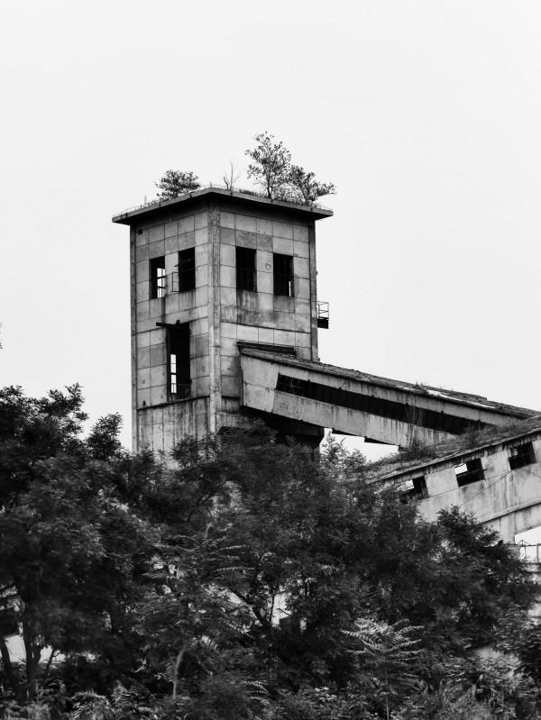 榮耀 Magic 3 至臻版攝影精選（二）