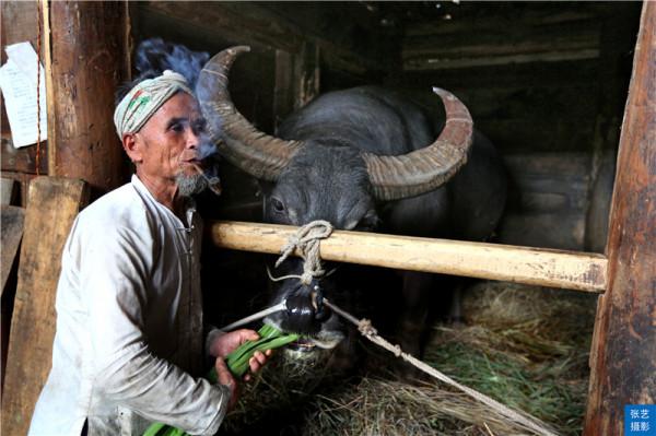 黔東南加榜梯田：《舌尖上的中國》拍攝地，每年的新米節熱鬧非凡