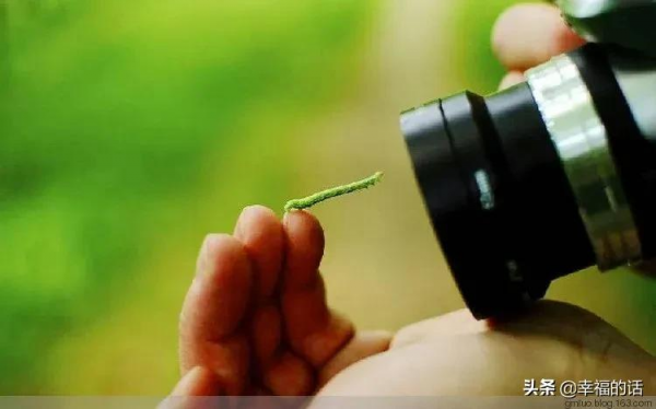 地球上的天堂美景