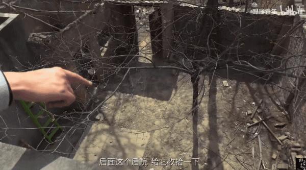 三個90後畢業不工作,跑到深山花八百塊租下荒宅,引400w人圍觀 三個90後畢業不工作,跑到深山花八百塊租下荒宅,引400w人圍觀