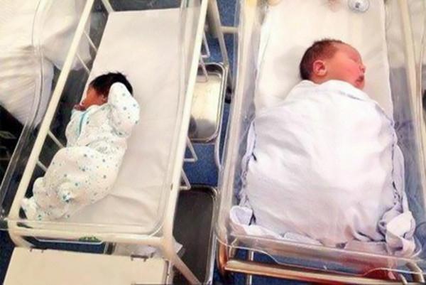 為何動物生寶寶很輕鬆，孕媽卻痛不欲生？人類的優勢這時成了劣勢