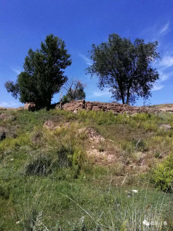 永不消失的大坡 永不消失的大坡