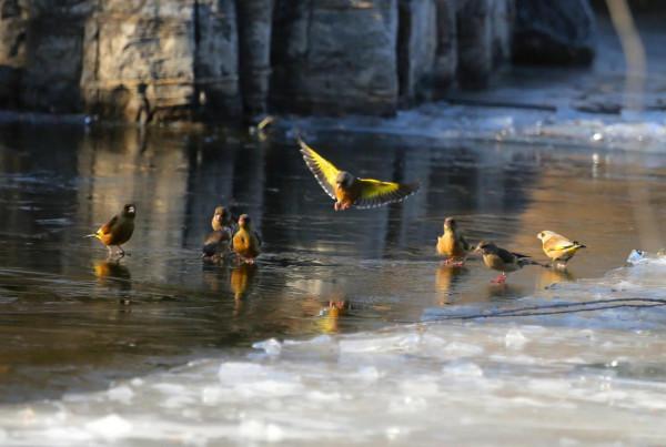 新年伊始，永珍更新，您好2022