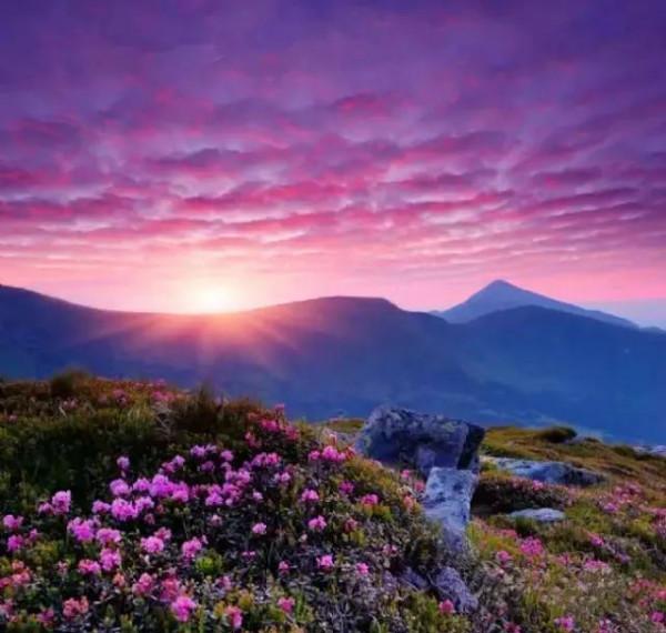 分享圖片——雲南風景如畫，美麗動人