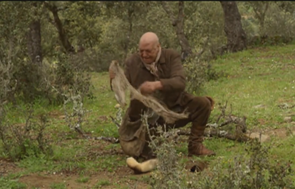 西班牙真實“狼孩”，與狼群一起生活了12年，後來怎麼樣了？