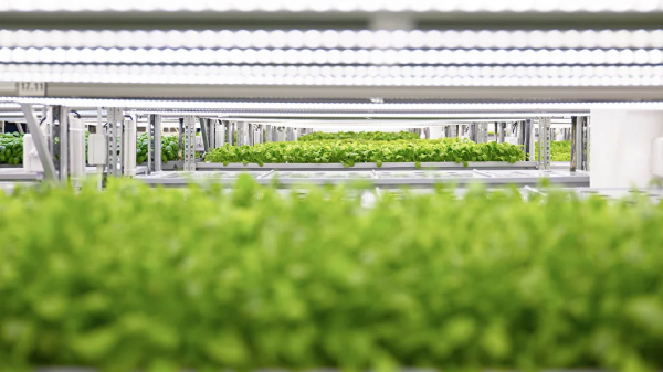 看看垂直農場自動化，並透過分解圖瞭解如何將智慧農場帶入生活