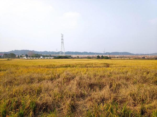 香山沖水庫和香山國家森林公園溜一圈，值得
