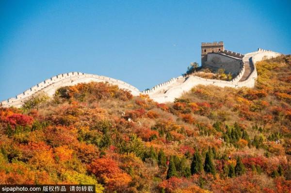 足足20家！北京最美秋色都在這裡了！不用人擠人！