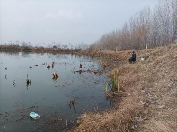 來自北賽湖探釣意外發現——外來物種