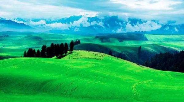 分享大美新疆 景色怡人 美美美