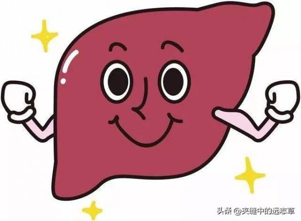 目昏，目幹，迎風愛流淚？送你八味中藥，養心神，補肝腎