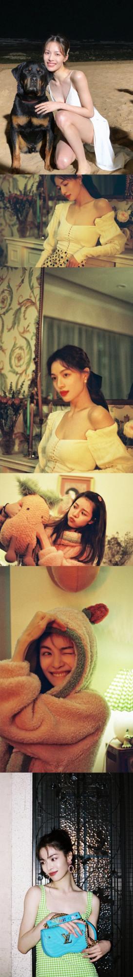 明豔美人｜鍾楚曦美圖