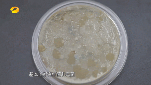 髒!一塊抹布居然引發全家中毒 髒!一塊抹布居然引發全家中毒