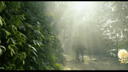 gif動圖怎麼製作?河南衛視,他又來炸場了 gif動圖怎麼製作?河南衛視,他又來炸場了