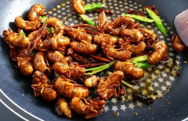 過年吃知了猴的禁忌，你知道嗎？不妨提前瞭解一下