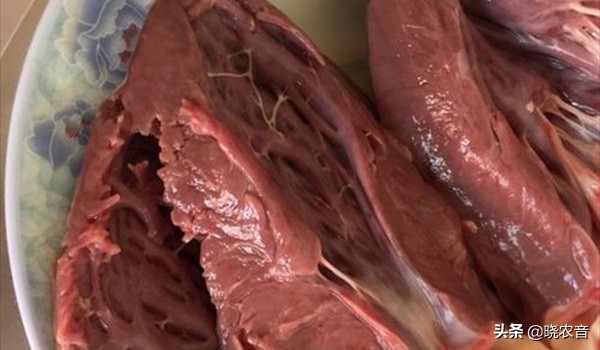 下水怎麼煮？煮豬下水的配方秘方是什麼？