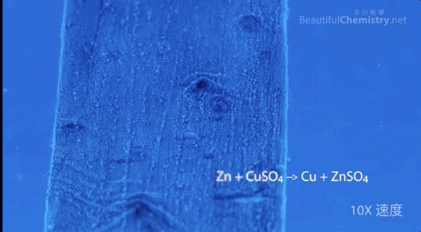 5部適合和孩子一起看的紀錄片，知識點滿滿，建議收藏！