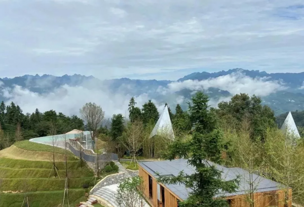 陸羽茶交所資訊丨湖北茶旅開發迅猛發展，如何破解“賣貨思維”