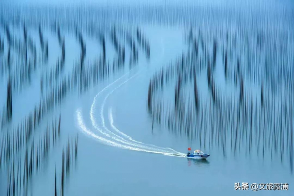 闖入霞浦油畫世界，看落日灘塗