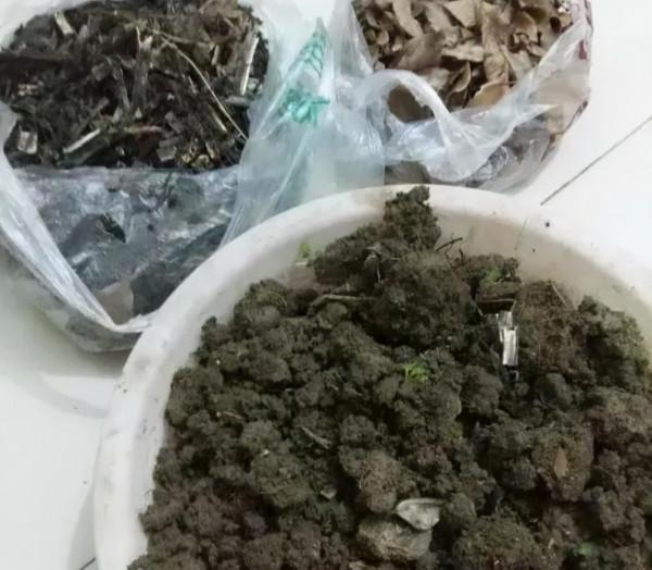 家有“空油桶”別扔掉，1個能養60棵“蒜”，種點菜家人吃得健康