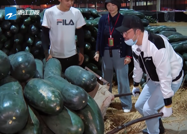 《奔跑吧》一共8位嘉賓，7位收到農民送的蔬菜，只有baby沒收到