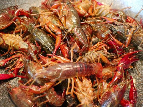 17歲少女食用生食腸道佈滿寄生蟲,為啥最好不吃生食?2個危害 17歲少女食用生食腸道佈滿寄生蟲,為啥最好不吃生食?2個危害