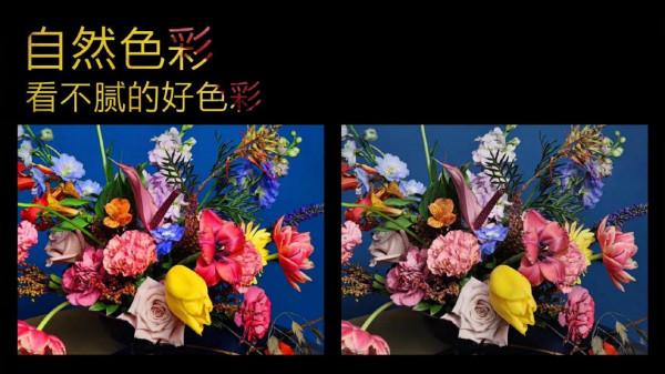 一加10pro售價4699起大家心動了嗎？