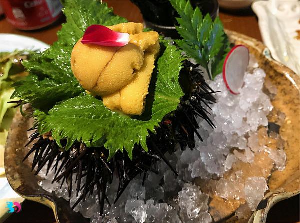 海膽去腥味後更美味,海膽應該生吃還是熟吃?這樣吃,對身體好 海膽去腥味後更美味,海膽應該生吃還是熟吃?這樣吃,對身體好