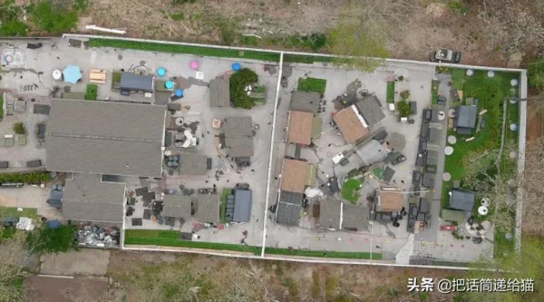 中年喪子後，父親花了15年建了座“貓天堂”