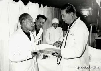 主任話科史 | 面板科主任晉紅中：傳承與發展，責任與擔當