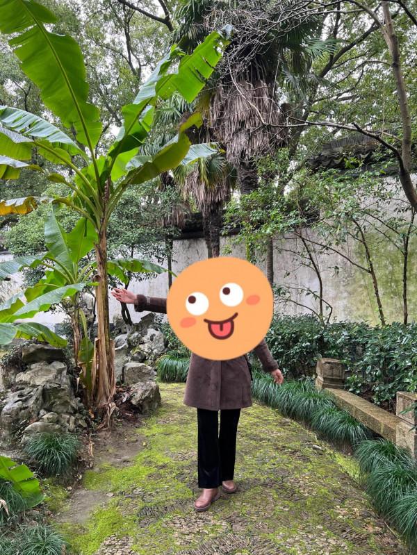 打卡江南名鎮#同裡#