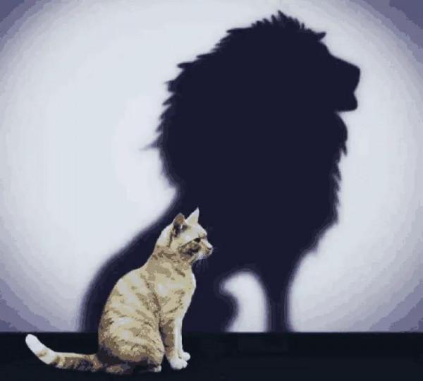 男人真正變強的表現