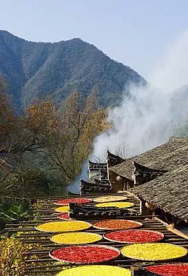 為什麼要在冬天遊婺源？