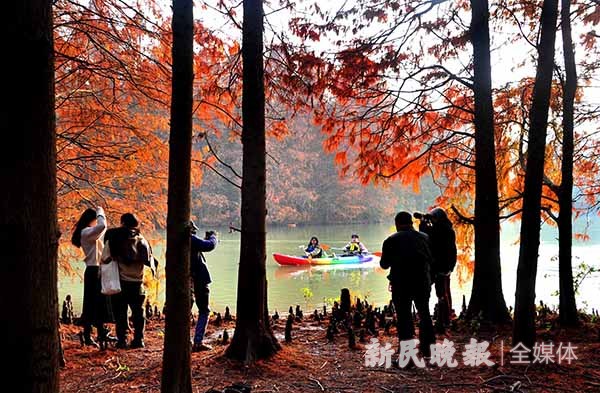 泛舟賞秋色 人在畫中游