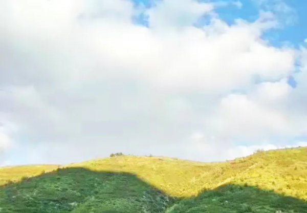 甲友心聲——我要是能活到80多歲，也就足夠了