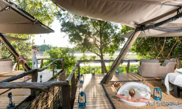 非洲自然界酒店