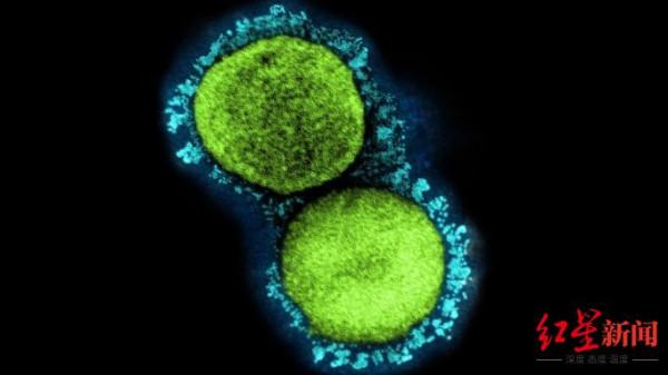 奧密克戎致死速度比德爾塔還快？不好預兆在美國出現，&OpenCurlyDoubleQuote;奧密克戎妹妹&rdquo;傳播快1&period;5倍