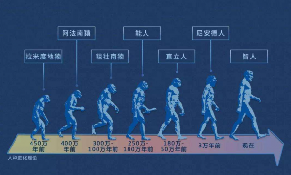 人類仍在進化！2020年研究：手臂長出新血管，會永久進化嗎？