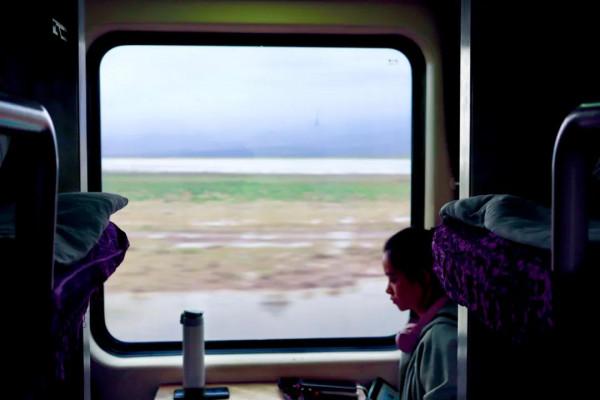 這趟開往拉薩的列車，票價不到300，一站一景美哭了