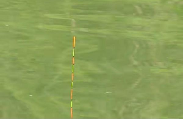 野釣鯽魚出現這些現象，說明釣得太鈍了，可從三個方面調整