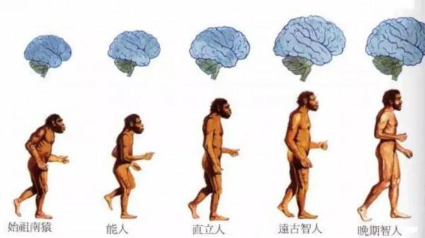 為什麼黃種人、黑種人、白種人之間沒有生殖隔離? 為什麼黃種人、黑種人、白種人之間沒有生殖隔離?