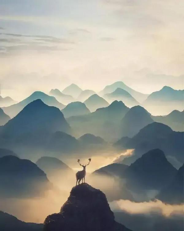 「“山鹿”看圖作」原創